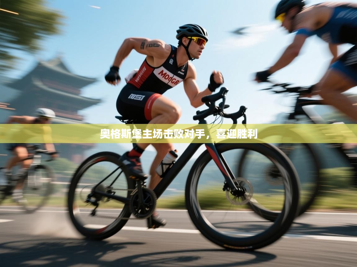 奥格斯堡主场击败对手,喜迎胜利 第2张