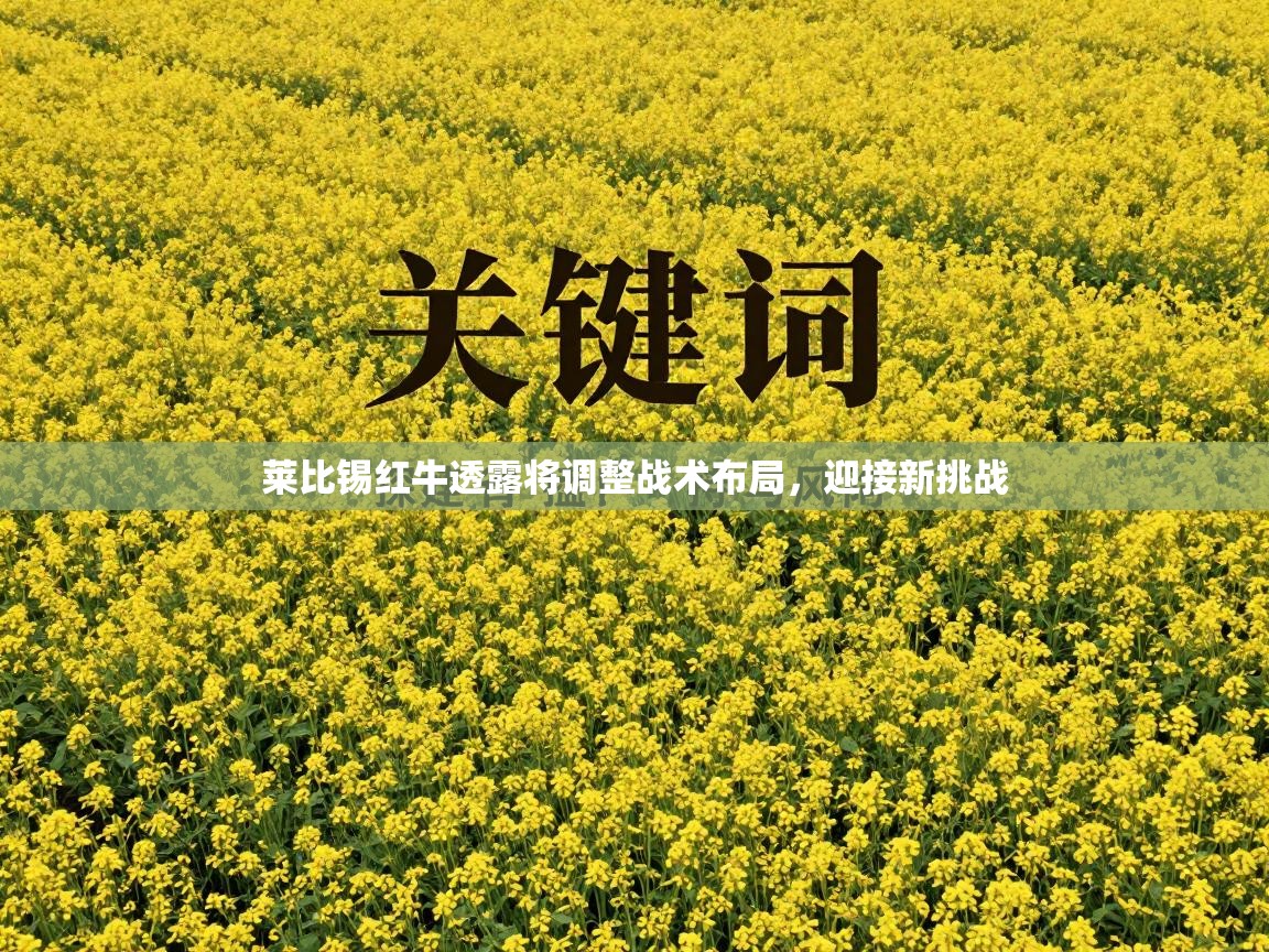 莱比锡红牛透露将调整战术布局，迎接新挑战  第1张