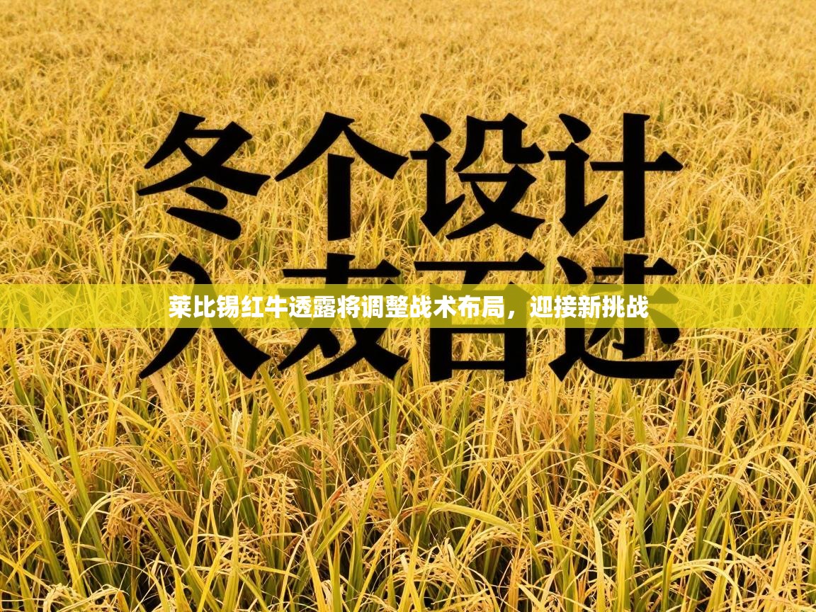 莱比锡红牛透露将调整战术布局，迎接新挑战  第2张