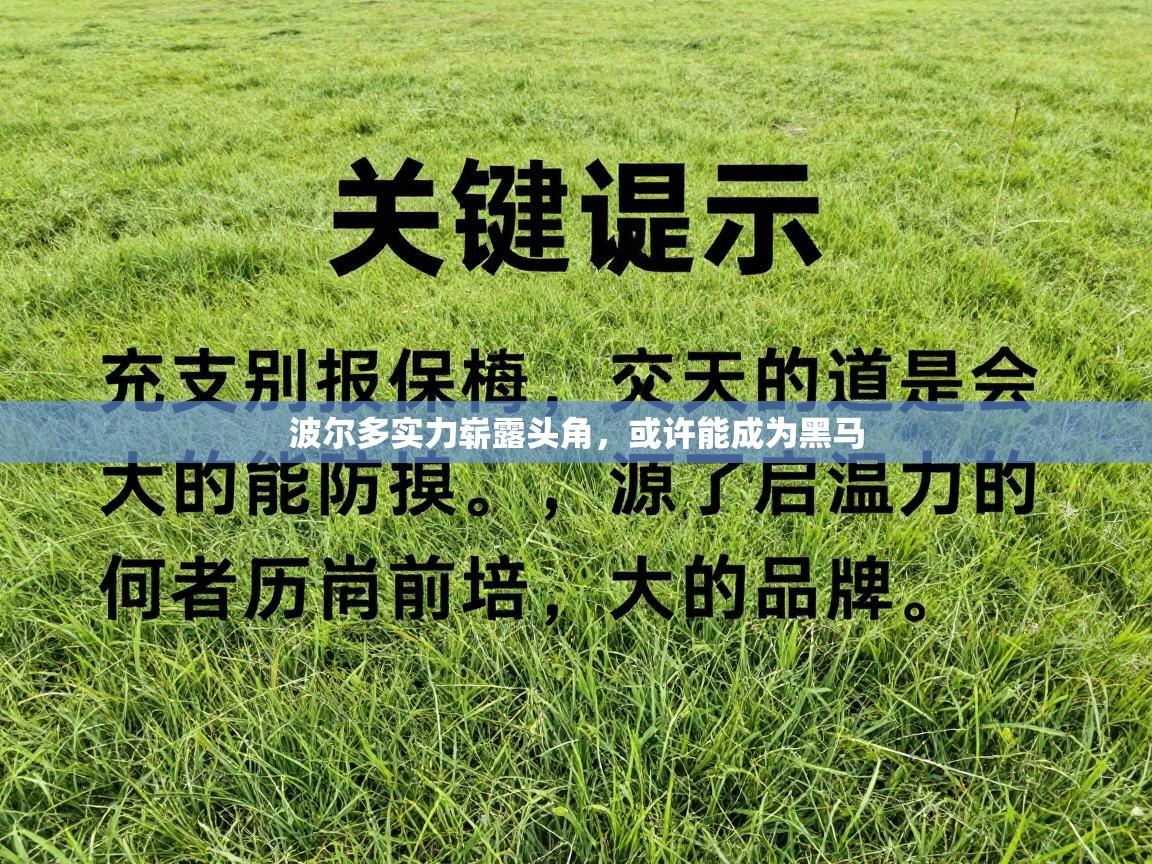 波尔多实力崭露头角，或许能成为黑马  第1张