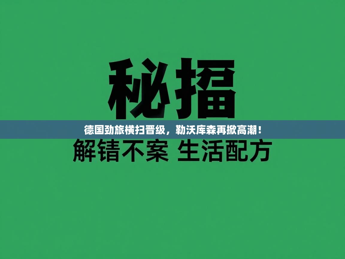 德国劲旅横扫晋级，勒沃库森再掀高潮！  第1张