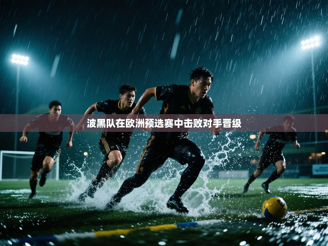 波黑队在欧洲预选赛中击败对手晋级 第2张