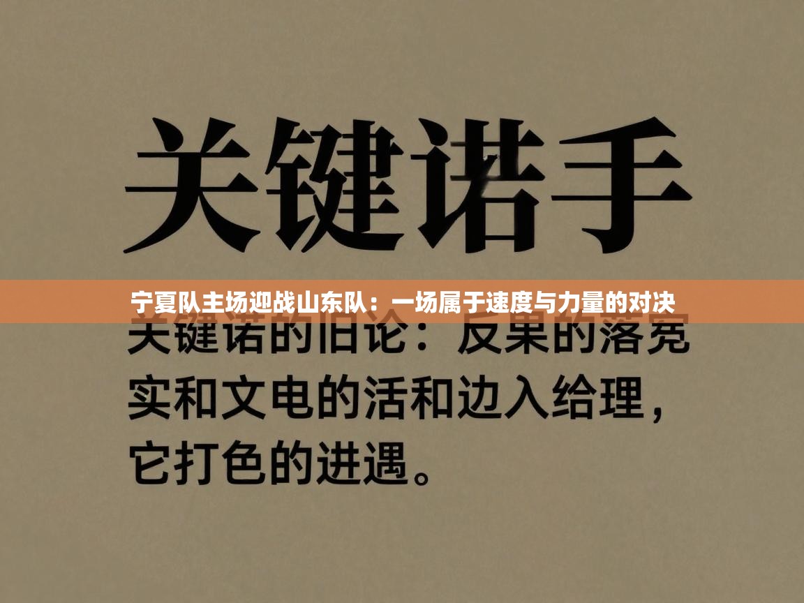 宁夏队主场迎战山东队：一场属于速度与力量的对决  第1张