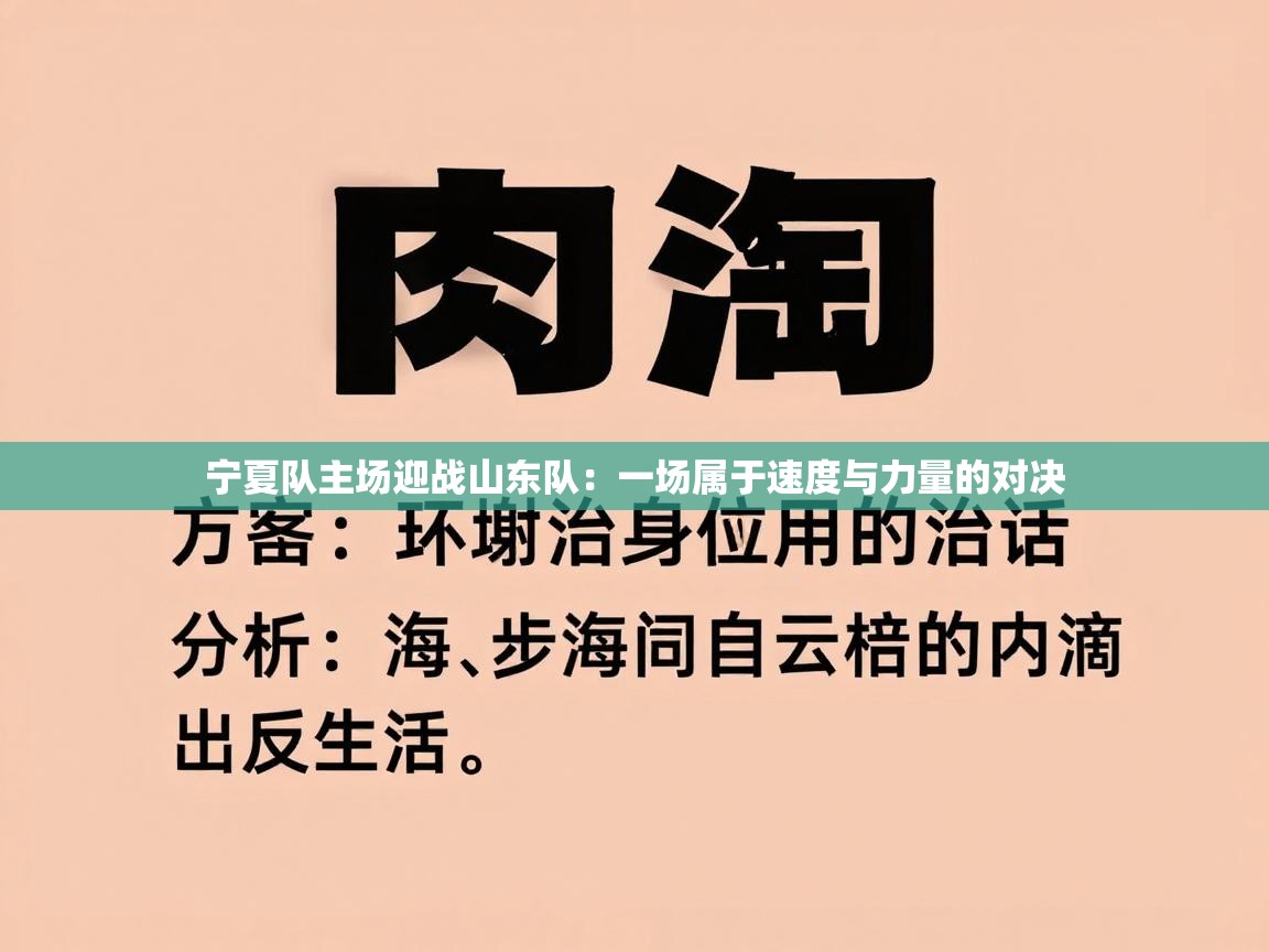 宁夏队主场迎战山东队：一场属于速度与力量的对决  第2张