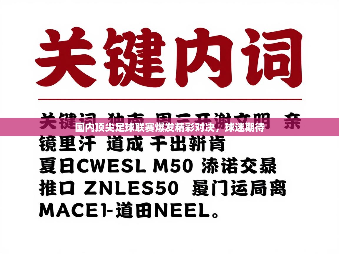 国内顶尖足球联赛爆发精彩对决，球迷期待  第1张