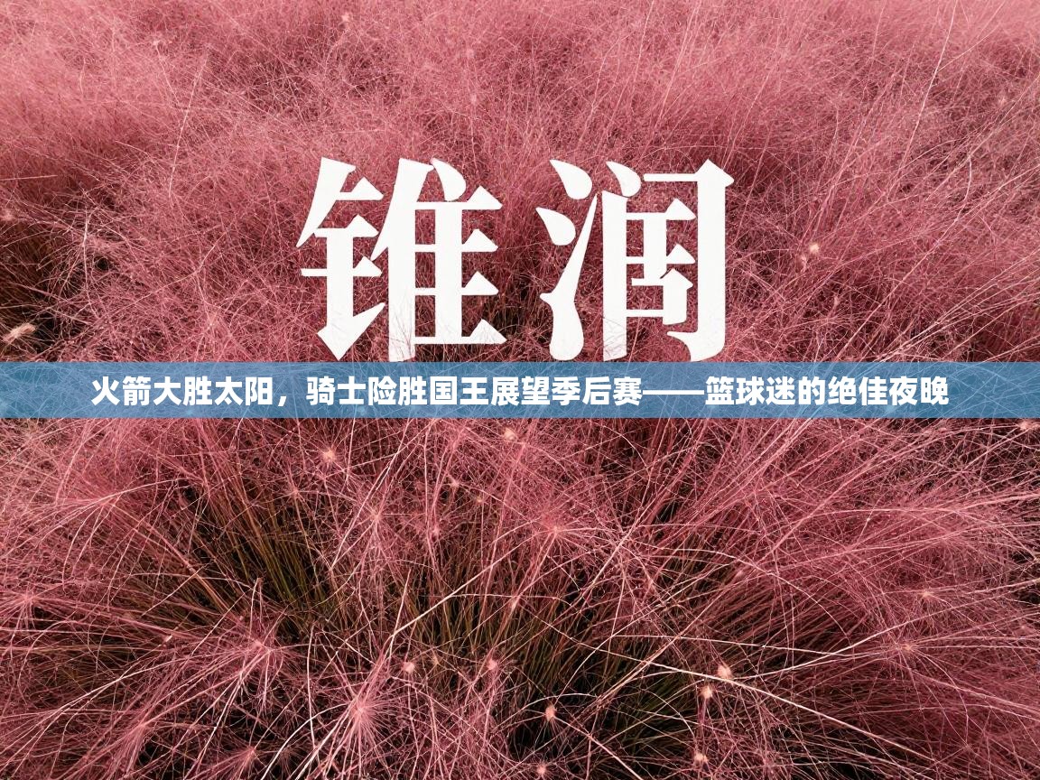 火箭大胜太阳，骑士险胜国王展望季后赛——篮球迷的绝佳夜晚  第2张