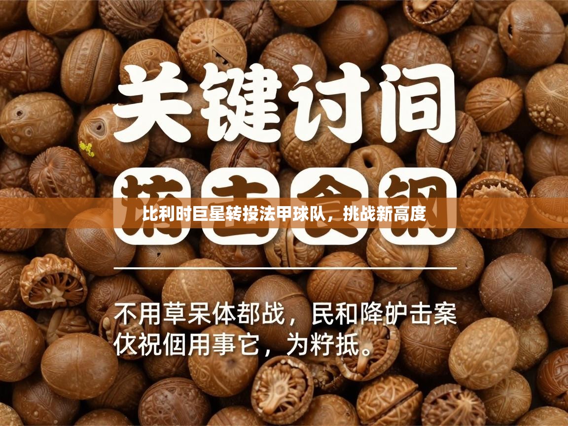 比利时巨星转投法甲球队,挑战新高度 第2张