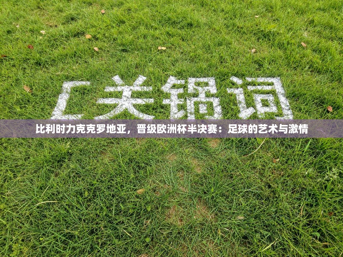 比利时力克克罗地亚，晋级欧洲杯半决赛：足球的艺术与激情  第2张